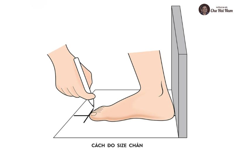 Hướng dẫn đo chiều dài – chiều rộng bàn chân tại nhà