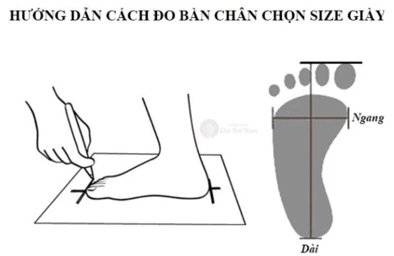 Cách đo size chân chuẩn tại nhà