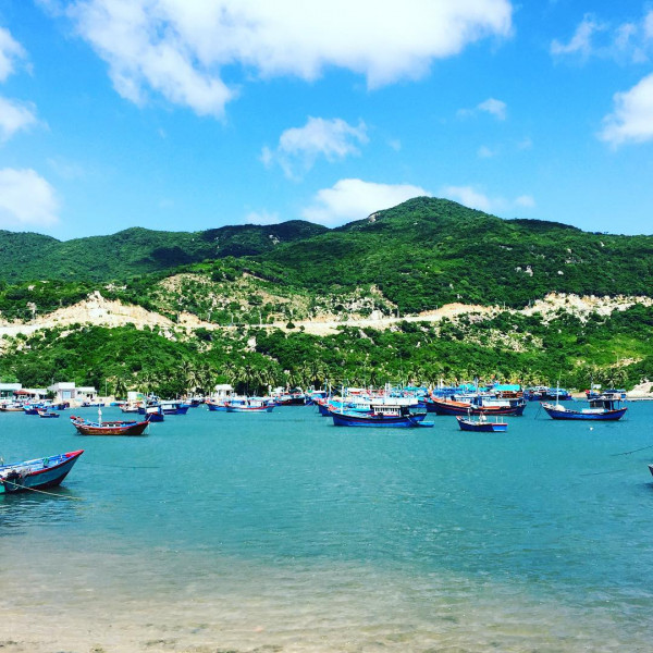 Hình ảnh đắt giá tại bãi biển Ninh Chữ